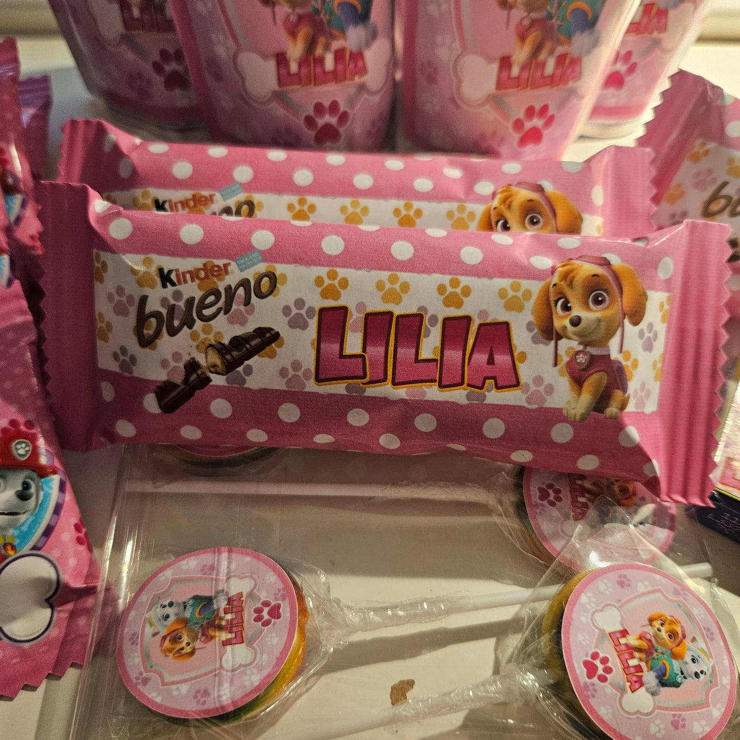 THEME PAT PATROUILLE ROSE