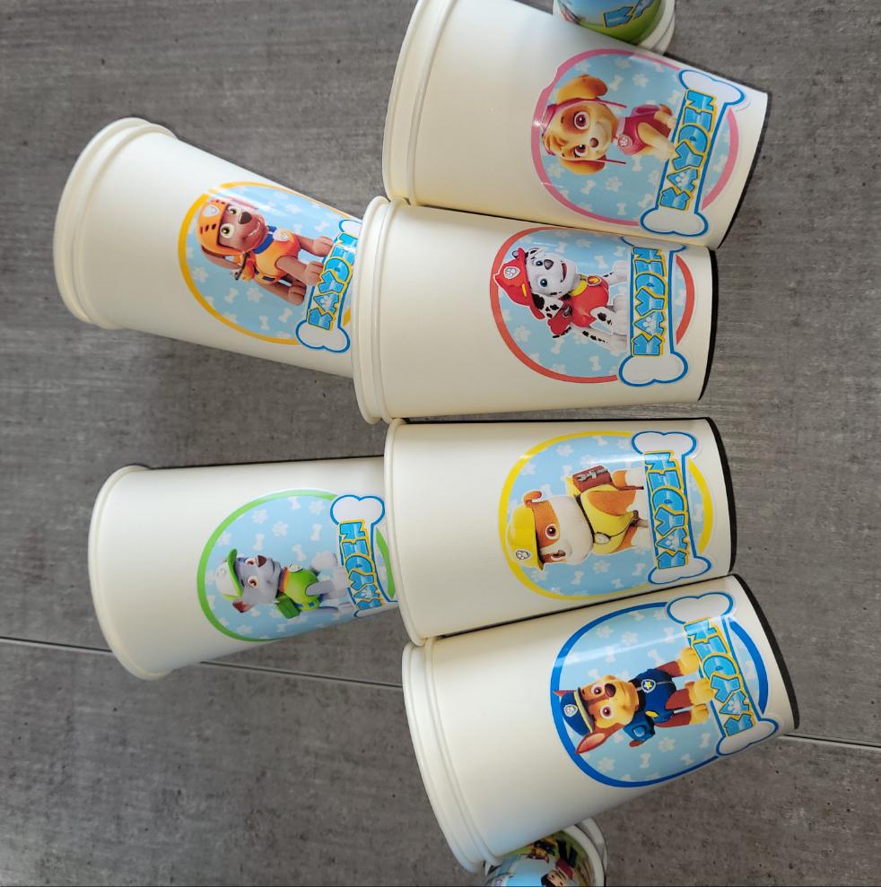 THEME PAT PATROUILLE