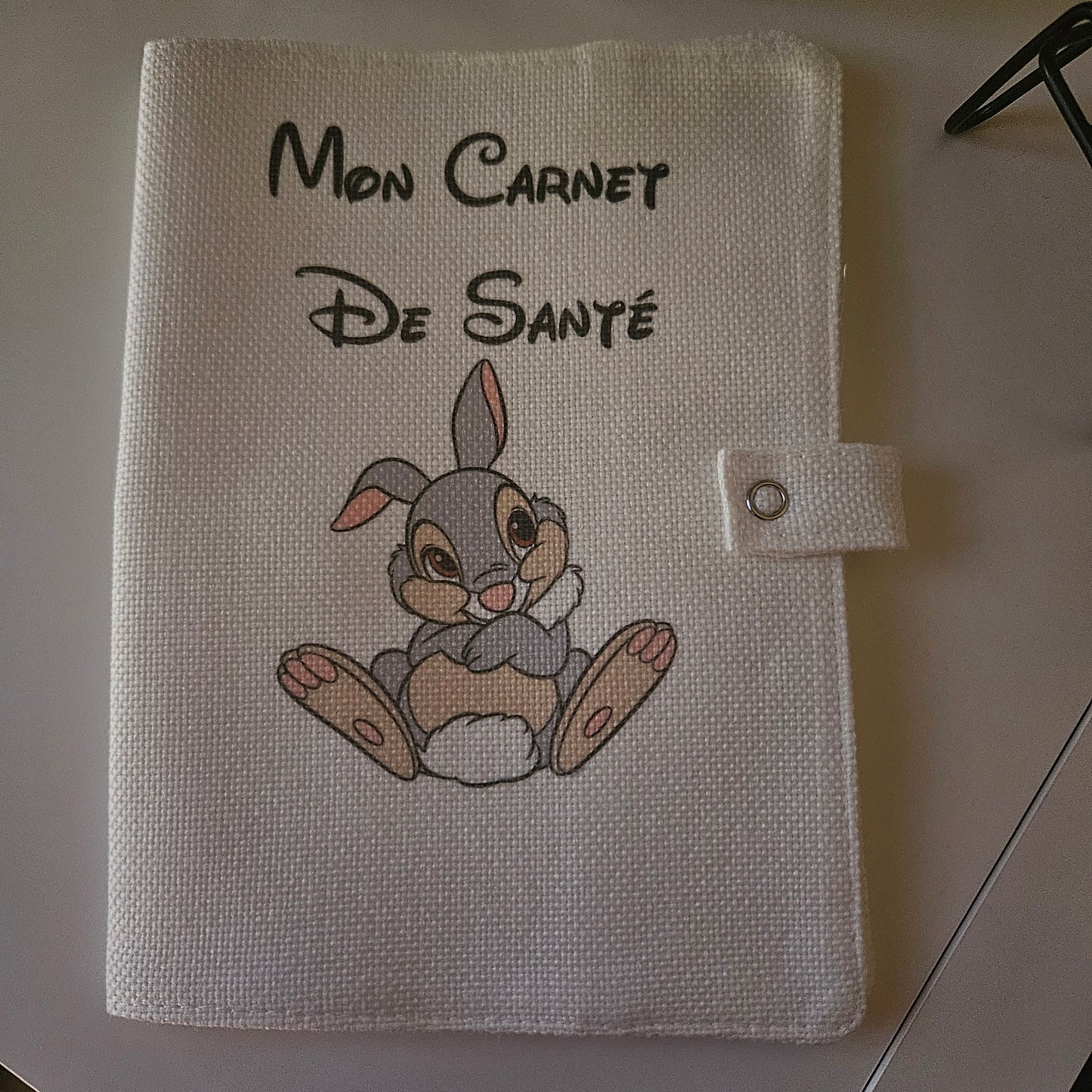 PROTEGE CARNET DE SANTE