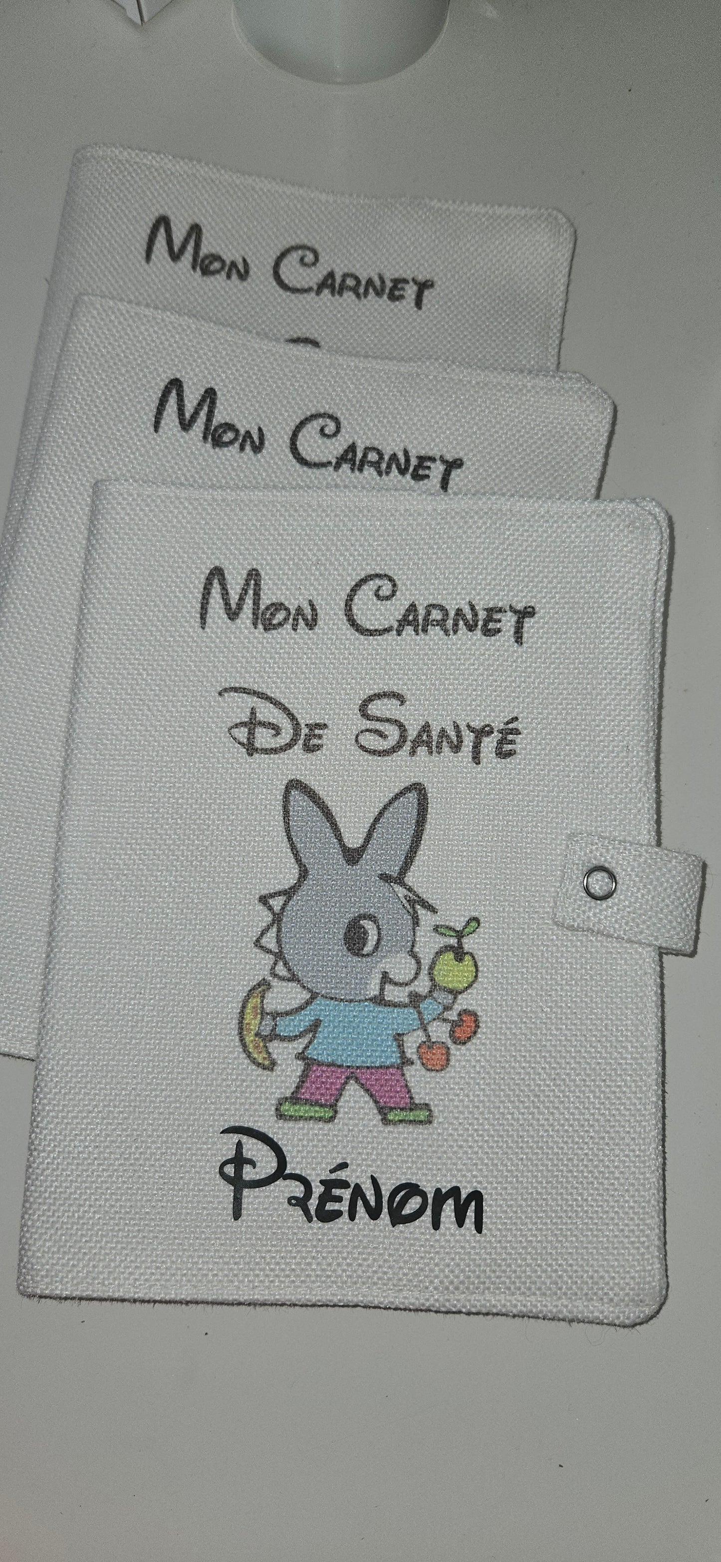 PROTEGE CARNET DE SANTE